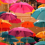 たくさんの傘