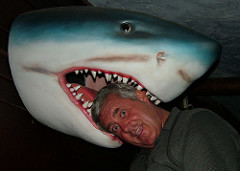 サメに頭を噛み付かれている人間のトリック写真