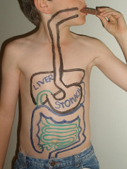 自分の体の臓器が潜んでいる部分の外側の肌にStomack、Liverなどをマジックで書いて表現する若い男性