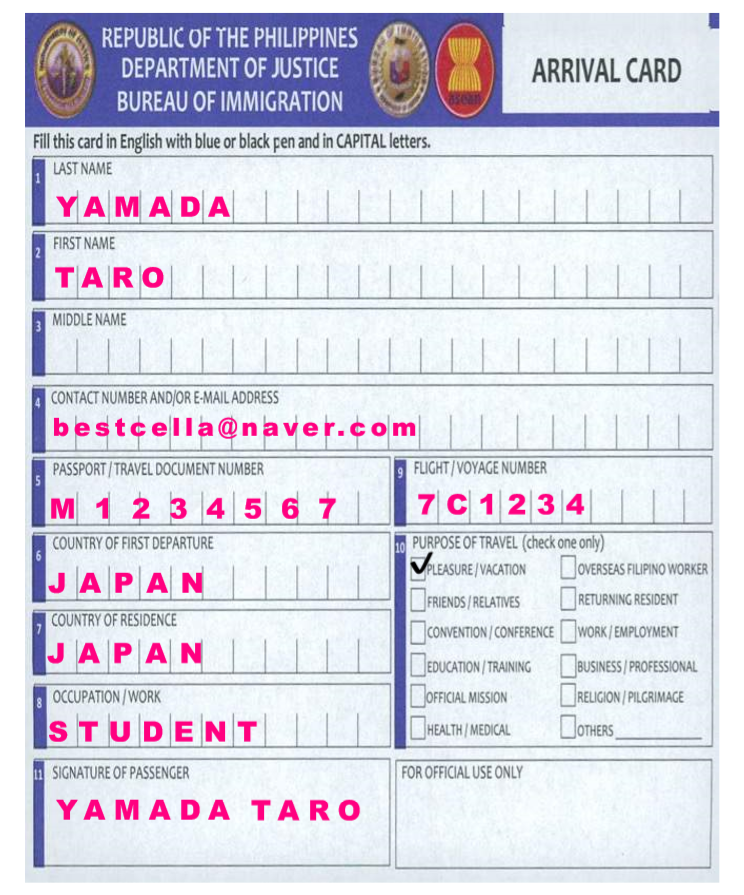 青色の入国申請書